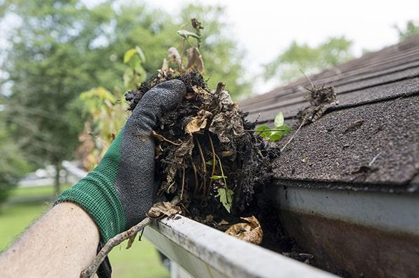 gutter cleaning can prevent water from backing up and causing damage to your roof